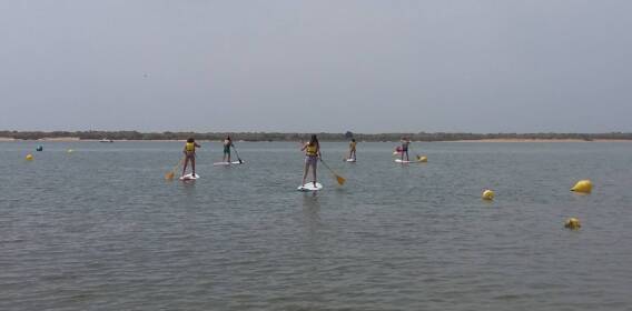 Alquiler Paddle Surf y Kayak